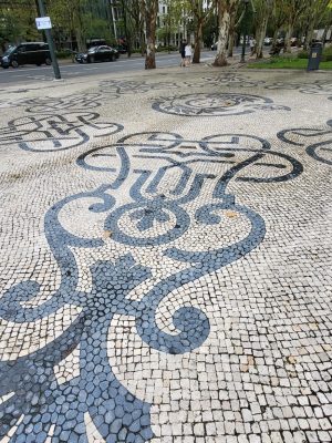 imgi_159_image