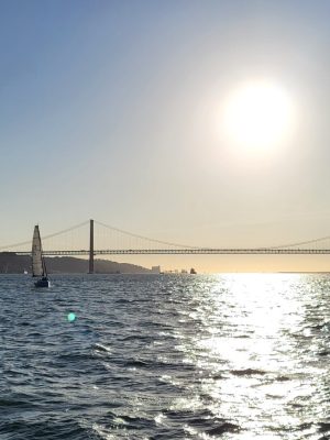 imgi_162_image