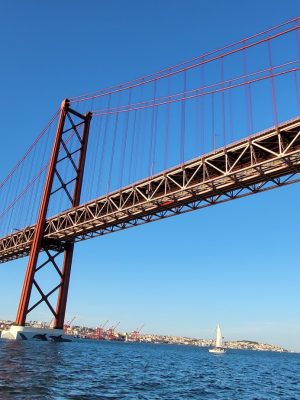 imgi_163_image