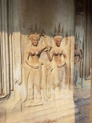 imgi_163_image