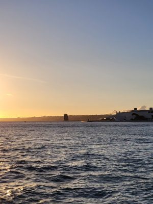 imgi_164_image