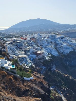 imgi_165_image