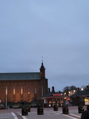 imgi_176_image