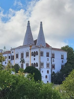 imgi_183_image