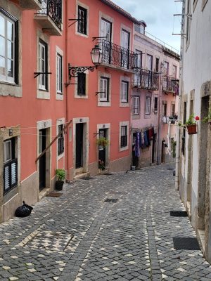imgi_187_image