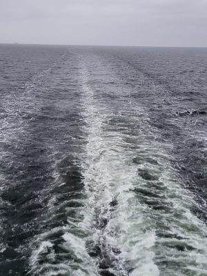 imgi_194_image