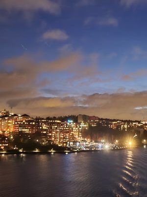 imgi_195_image