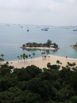 imgi_197_image