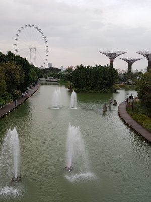 imgi_200_image