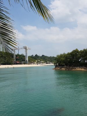 imgi_201_image