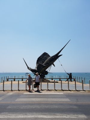 imgi_204_image