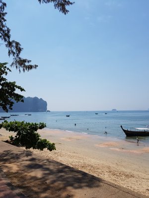 imgi_205_image