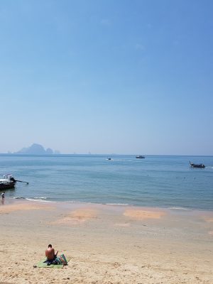 imgi_206_image