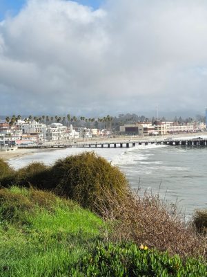imgi_207_image