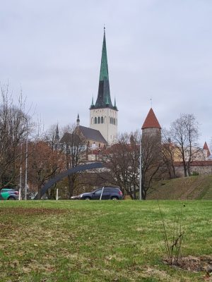 imgi_208_image