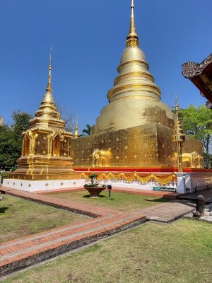 imgi_210_image