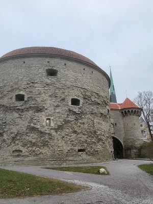 imgi_212_image