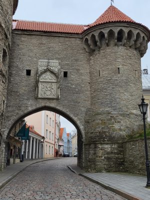 imgi_213_image