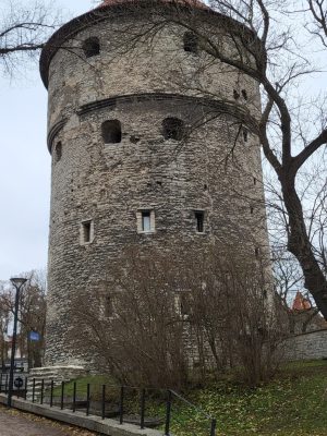 imgi_214_image