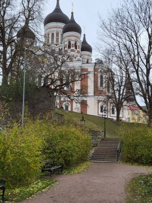 imgi_218_image