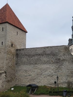imgi_219_image