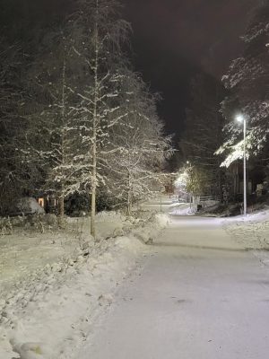 imgi_228_image