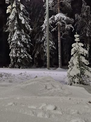imgi_231_image