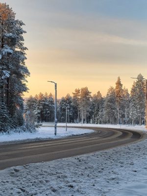 imgi_233_image