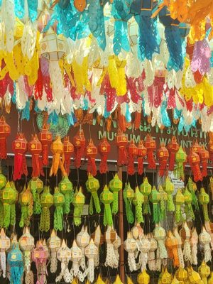 imgi_234_image