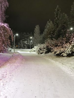 imgi_235_image