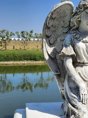 imgi_247_image