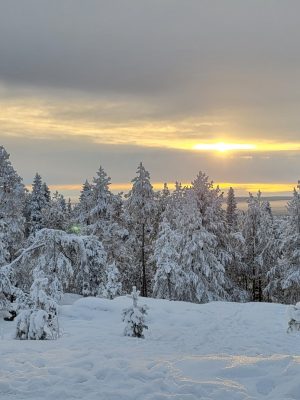 imgi_250_image