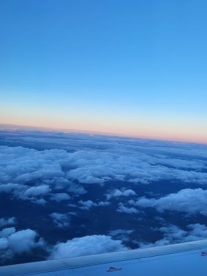imgi_258_image