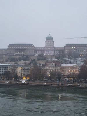 imgi_59_image
