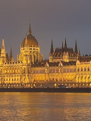 imgi_65_image