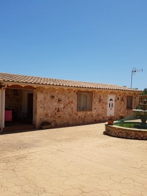imgi_66_image