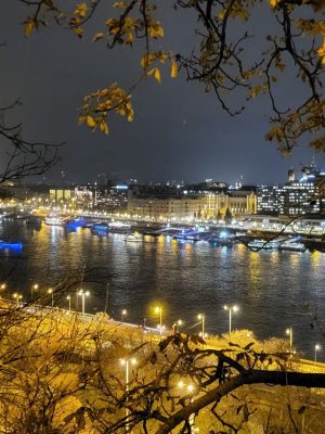 imgi_68_image