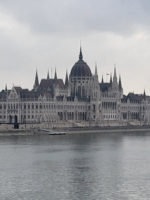 imgi_70_image