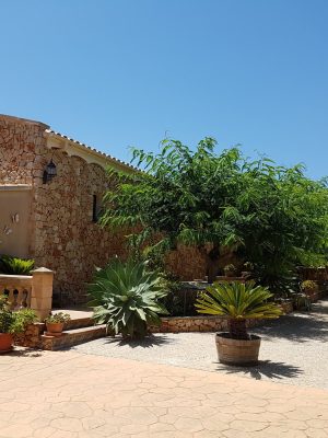 imgi_71_image