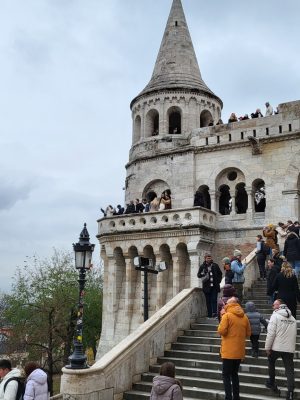 imgi_73_image