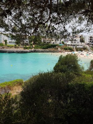 imgi_77_image