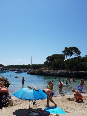 imgi_78_image