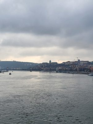 imgi_79_image