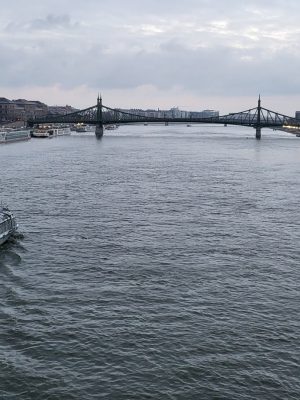 imgi_80_image