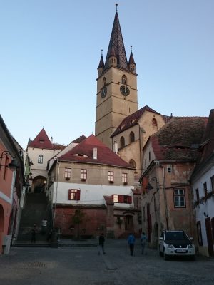 imgi_83_image