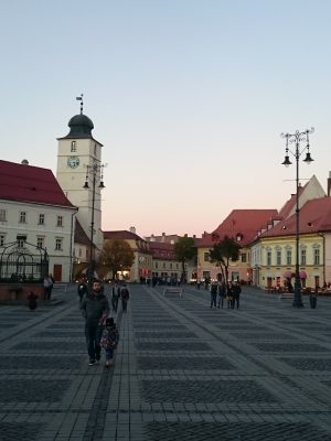 imgi_85_image
