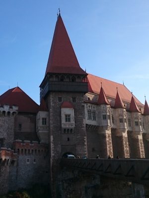 imgi_86_image