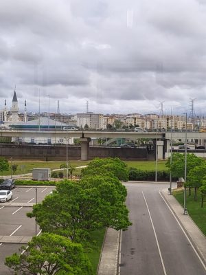 imgi_90_image