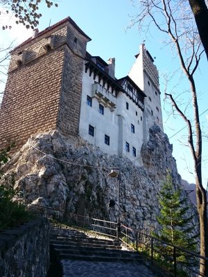 imgi_92_image