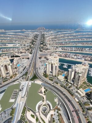imgi_93_image